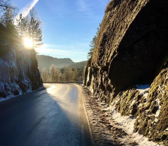 16114313_10209624564828782_2683793206528142140_n